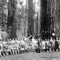 1-Catherine Brantley with tour group, Muir Woods, 29 Jun 1930 - F. Ransome Fotografer