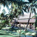 1977 Hawaii 006 Coco Palms