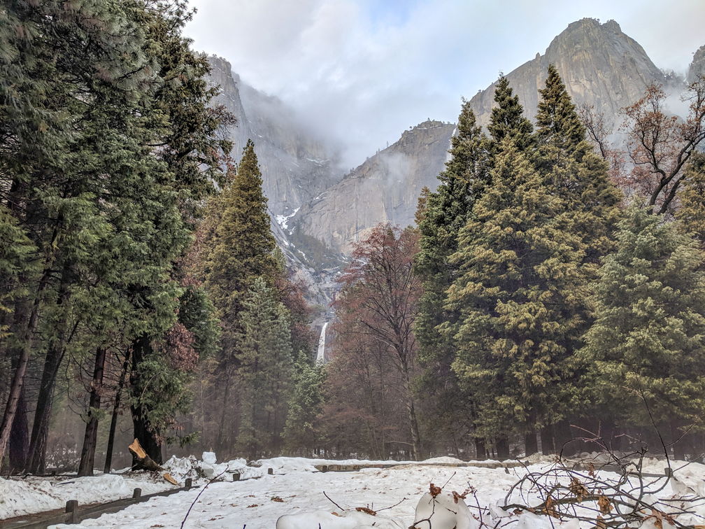 050-Yosemite-20190303 Yosemite (78)